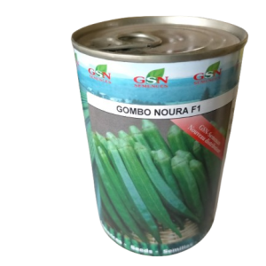 Semence hybride de GOMBO NOURA F1 50 gr