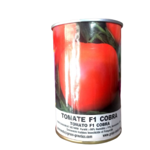 Semence hybride de TOMATE F1 COBRA 26 50 gr