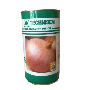 Semence d&rsquo;OIGNON ROUGE SAFARI 500 gr