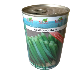 Semence hybride de GOMBO NOURA F1 50 gr