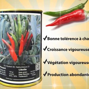 Semence de PIMENT BEC D’OISEAU 100 gr