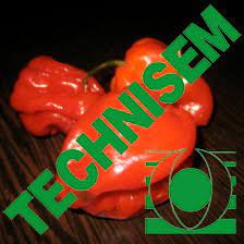 Semence de PIMENT ANTILLAIS 50 gr