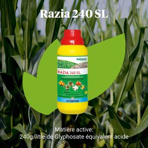 Herbicide liquide total RAZIA 240 SL 1 litre – Toutes les cultures