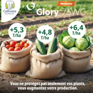 Fongicide granulé GLORY 75 WG 500 gr – Cultures maraichères