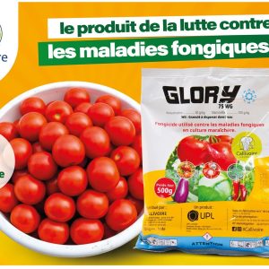 Fongicide granulé GLORY 75 WG 500 gr – Cultures maraichères