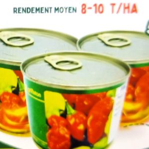 Semence de PIMENT BOULE DE FEU 50 gr