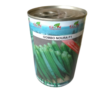 Semence hybride de GOMBO NOURA F1 50 gr