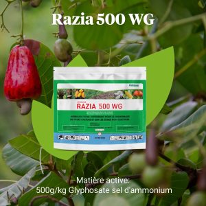 Herbicide granulé total RAZIA 500 WG 1 kg – Toutes les cultures