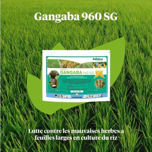 Herbicide granulé sélectif de post-levée GANGABA 960 SG 750 gr – Riz