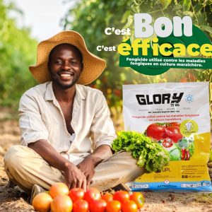 Fongicide granulé GLORY 75 WG 500 gr – Cultures maraichères