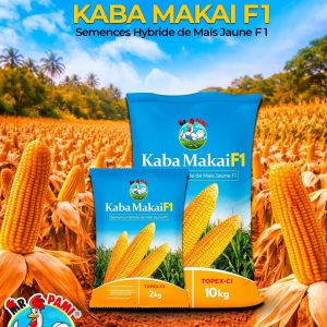 Semence Hybride de Mais Jaune KABA MAKAI F1 10 kg