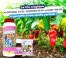 Insecticide liquide K-OPTIMAL 35 EC 1 litre – Cultures maraichères