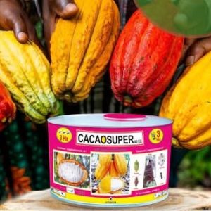 Insecticide liquide CACAOSUPER 40 EC 1 litre – Cacao