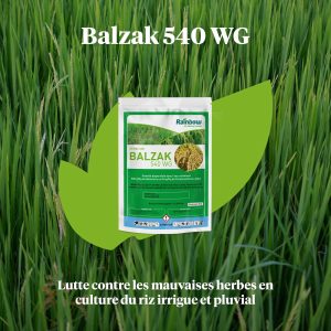 Herbicide granulé sélectif de pré et post-levée BALZAK 540 WG 65 gr – Riz irrigué, riz pluvial