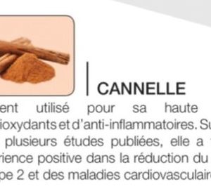 Poudre de cannelle bio 100% naturelle 1 kg