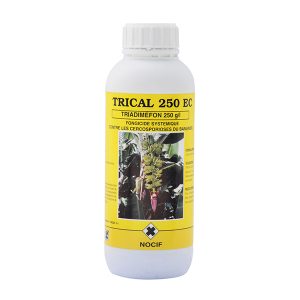 Fongicide granulé TRICAL 250 EC 1 kg – Banane, ananas