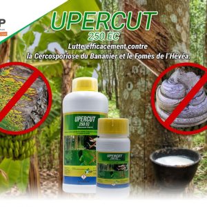 Fongicide liquide UPERCUT 250 EC 1 litre – Bananier, hévéa