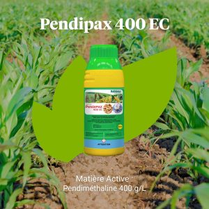 Herbicide liquide sélectif de prélevée PENDIPAX 400 EC 800 ml – Maïs, riz, coton