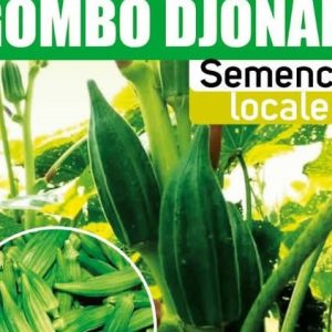 Semence hybride de GOMBO DJONAN F1 50 gr