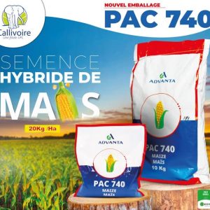 Semence hybride de maïs orange F1 PAC 740 1 kg
