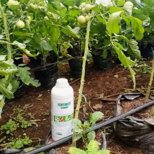 Engrais foliaire 100% Bio FERTIBEST NPK 2-8-30 1 litre – Toutes les cultures