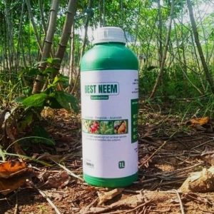 Bio-pesticide foliaire 100% naturel BEST NEEM 1 litre – Cultures maraichères, fruitières, vivrières et ornementales