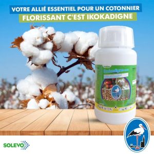 Herbicide liquide sélectif de post-levée IKOKADIGNE 108 EC 225 ml – Cultures maraichères, igname, manioc, coton, arachide