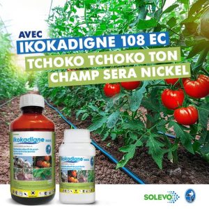 Herbicide liquide sélectif de post-levée IKOKADIGNE 108 EC 1 litre – Cultures maraichères, igname, manioc, coton, arachide