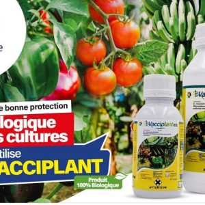 Fongicide foliaire 100% biologique VACCIPLANT 45 SL 1 litre – Cultures maraichères