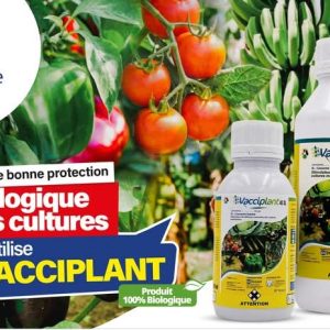 Fongicide foliaire 100% biologique VACCIPLANT 45 SL 500 ml – Cultures maraichères