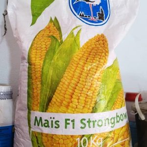 Semence hybride de maïs jaune F1 STRONGBOW 10 kg