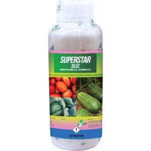 Insecticide liquide SUPERSTAR 35 EC 1 litre – Cultures maraichères