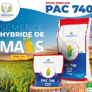 Semence hybride de maïs orange F1 PAC 740 10 kg