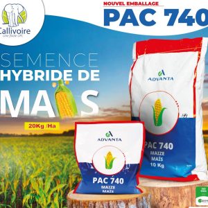 Semence hybride de maïs orange PAC 740 F1 10 kg