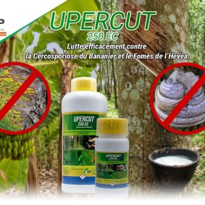 Fongicide liquide UPERCUT 250 EC 1 litre – Bananier, hévéa