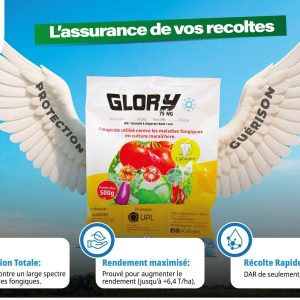 Fongicide granulé GLORY 75 WG 500 gr – Cultures maraichères