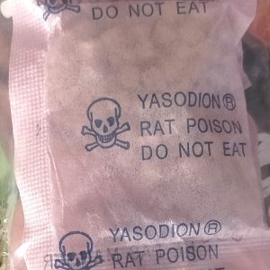 Anti-rats YASODION 30 gr (3 blocs) – Domicile, bureau, hygiène publique, entrepôt, hôtel, restaurant