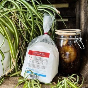 Acide citrique (anhydre) C6H8O7 100% naturel 1 kg – Agriculture, alimentation, cosmétique, santé, textile, photographie