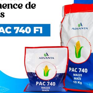 Semence hybride de maïs orange PAC 740 F1 10 kg