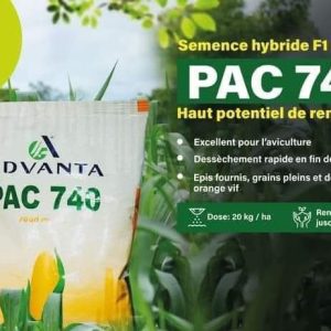 Semence hybride F1 de maïs orange PAC 740 10 kg