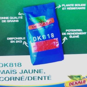 Semence hybride de maïs jaune DK818 Corné-denté 2 kg