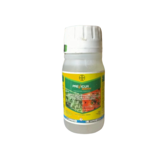 Fongicide liquide PREVICUR ENERGY 840 SL 200 ml – Cultures maraichères