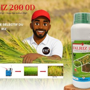 Herbicide liquide sélectif de pré et post-levée FALRIZ 200 OD 1 litre – Spécial riz