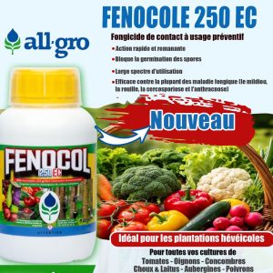 Fongicide liquide FENECOLE 250 EC 500 ml – Cultures maraichères, hévéa