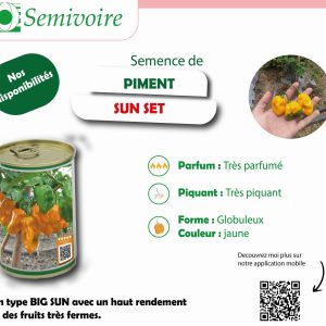 Semence de PIMENT SUN SET 50 gr