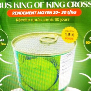 Semence hybride de CHOU KING OF KING CROSS F1 50 gr