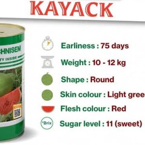 Semence de PASTEQUE KAOLACK 500 gr