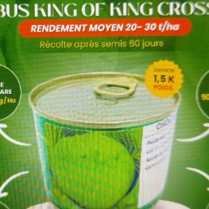 Semence hybride de CHOU KING OF KING CROSS F1 50 gr