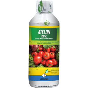 Fongicide liquide ATELON 650 SC 1 litre – Cultures maraichères