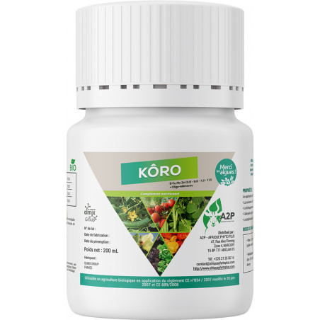 koro12333